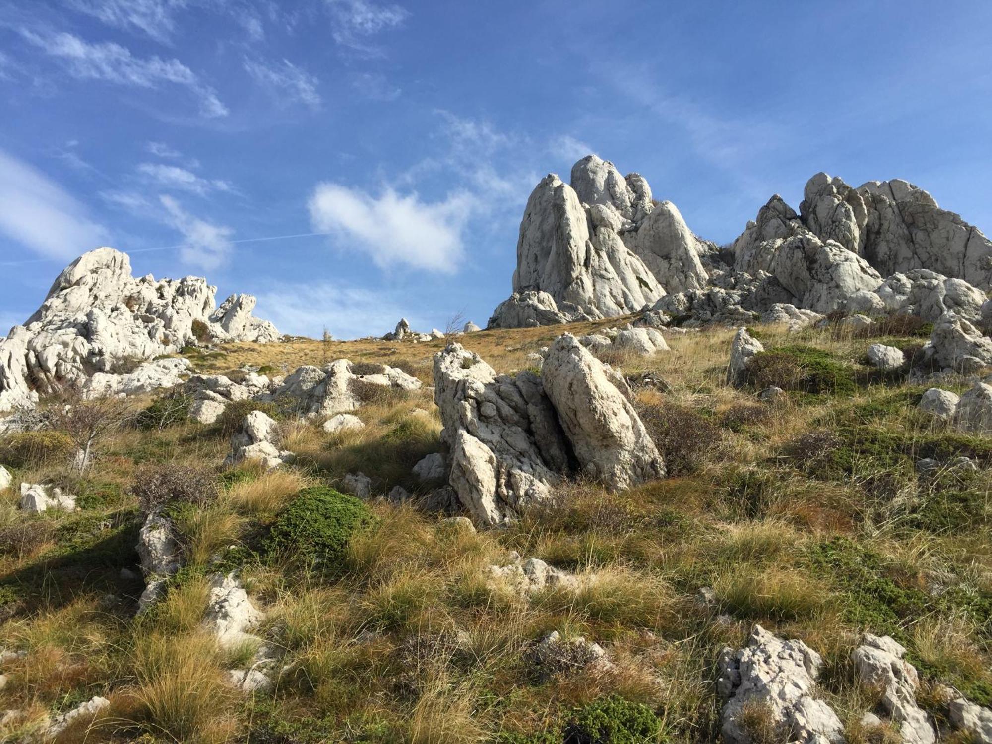 Studios Lav Privlaka  Dış mekan fotoğraf